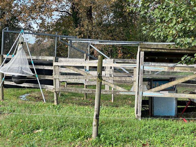 Hippisch vastgoed Koop Landes