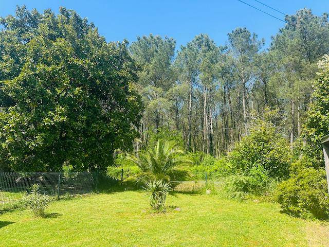 Hippisch vastgoed Koop Landes