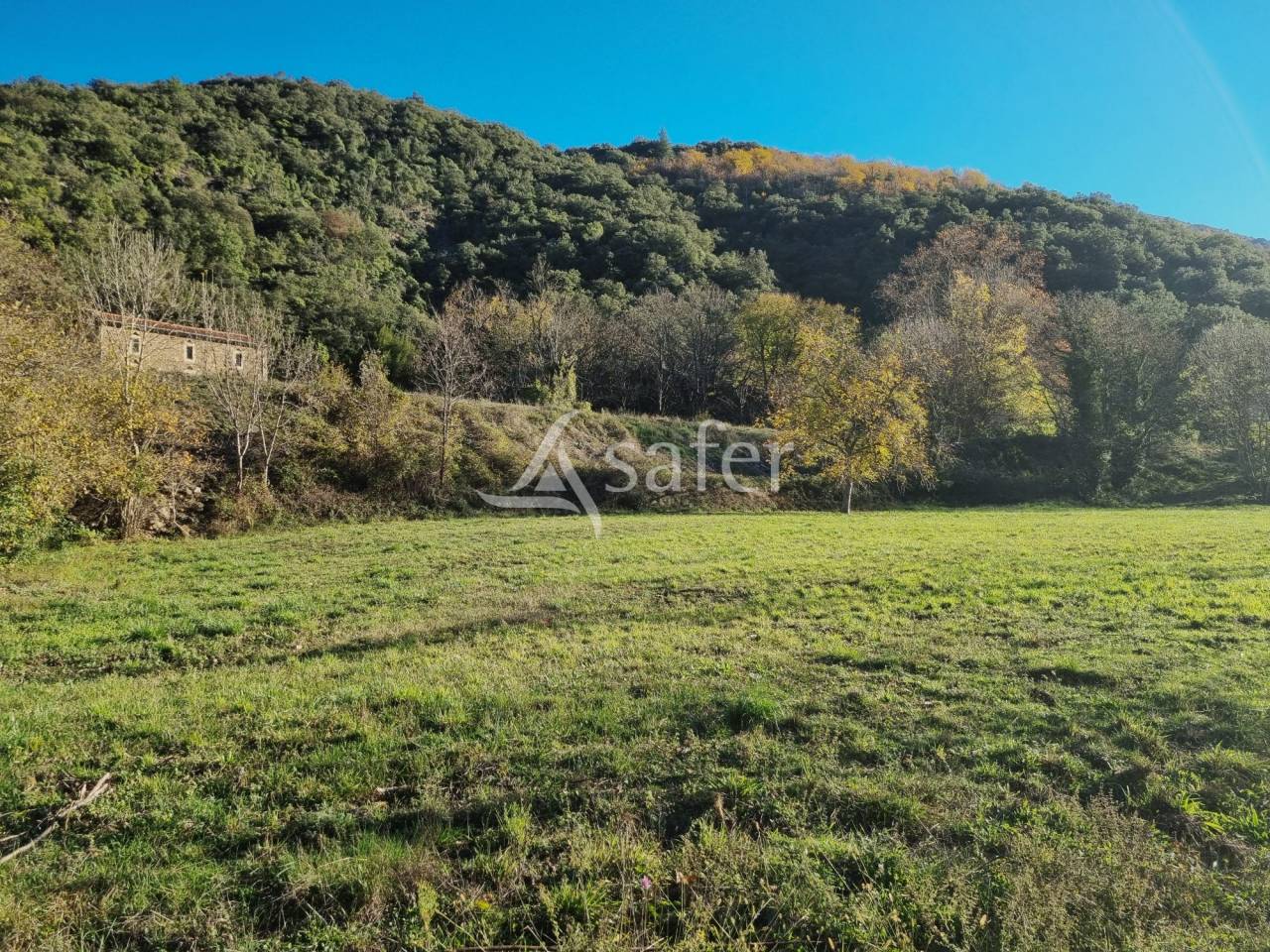 Bos exploitatie Koop Gard