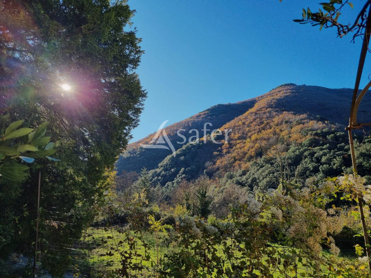 Bos exploitatie Koop Gard