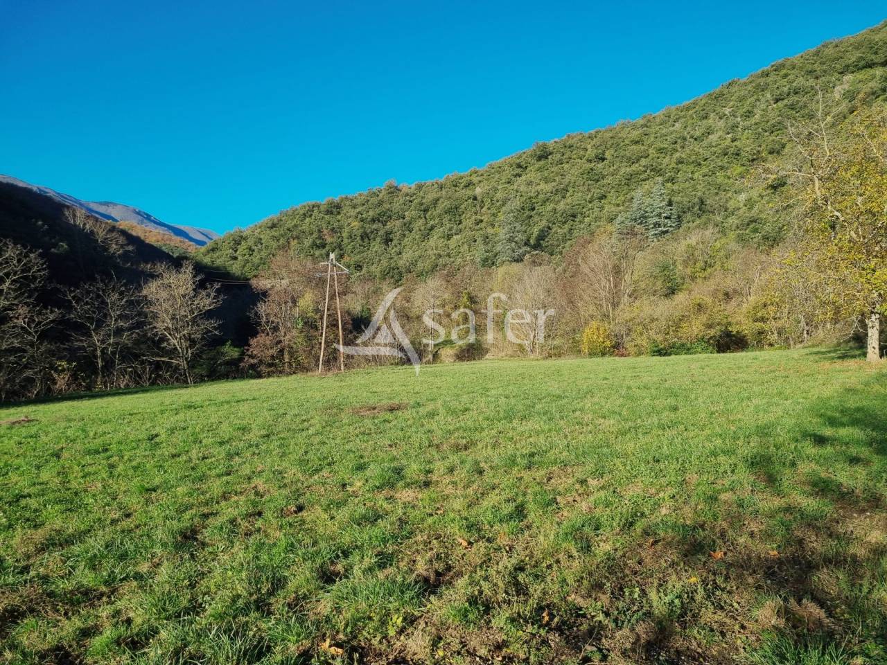 Bos exploitatie Koop Gard