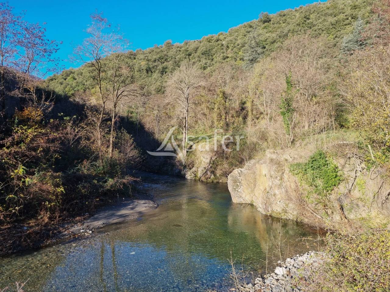 Bos exploitatie Koop Gard