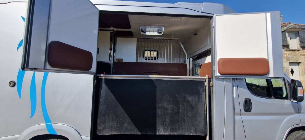 Kleine paardenvrachtwagen (B rijbewijs) Fiat  Ducato 2018 Tweedehands