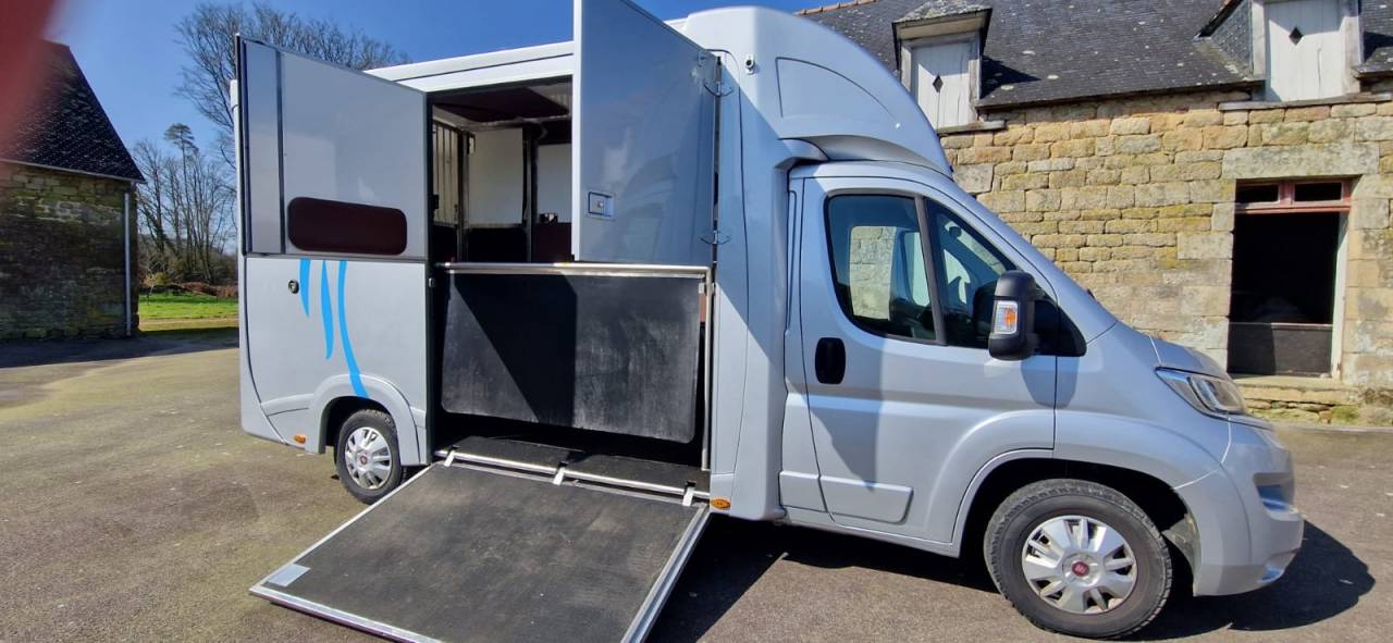 Kleine paardenvrachtwagen (B rijbewijs) Fiat  Ducato 2018 Tweedehands