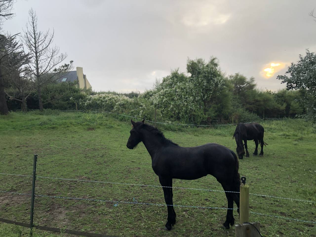 Hippisch vastgoed Koop Finist&egrave;re