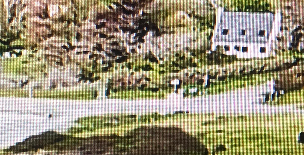 Hippisch vastgoed Koop Finist&egrave;re