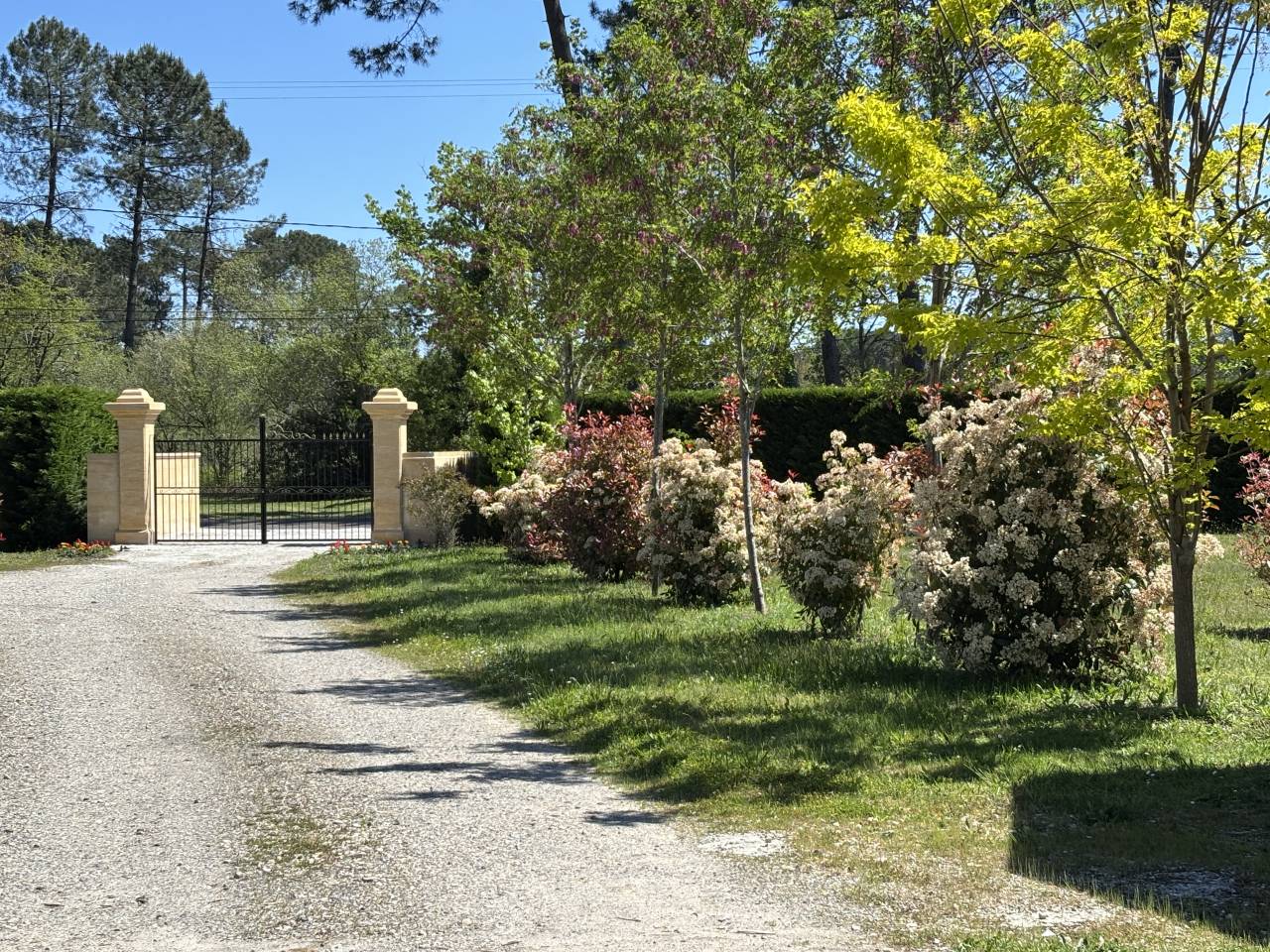 Hippisch vastgoed Koop Gironde