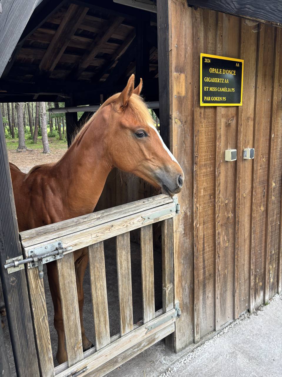 Hippisch vastgoed Koop Gironde