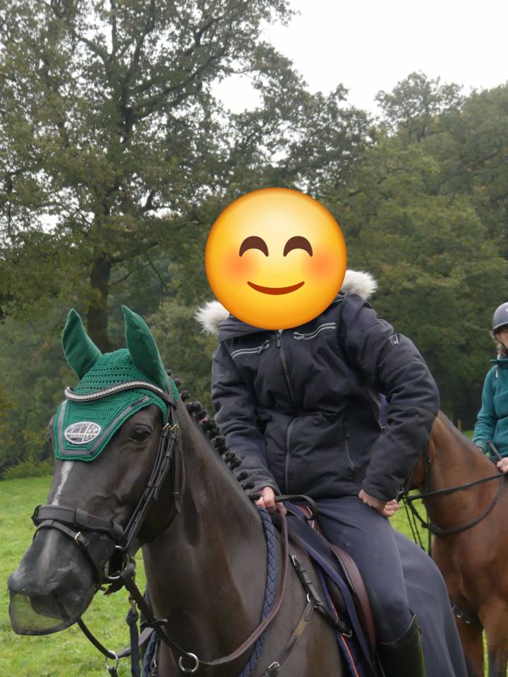 Merrie Franse rijpony PFS Te koop 2015 Zwart