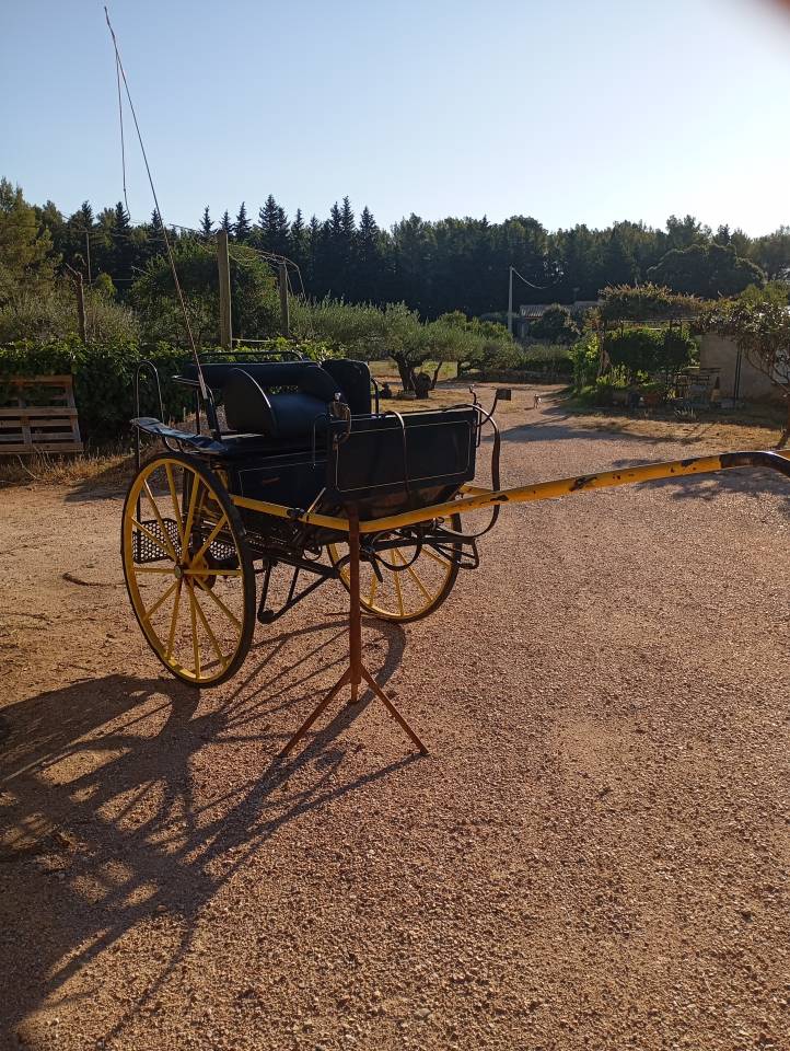 Rijtuigen - Gig Pouvreau 2roues 