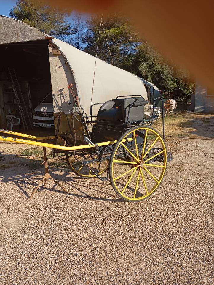 Rijtuigen - Gig Pouvreau 2roues 
