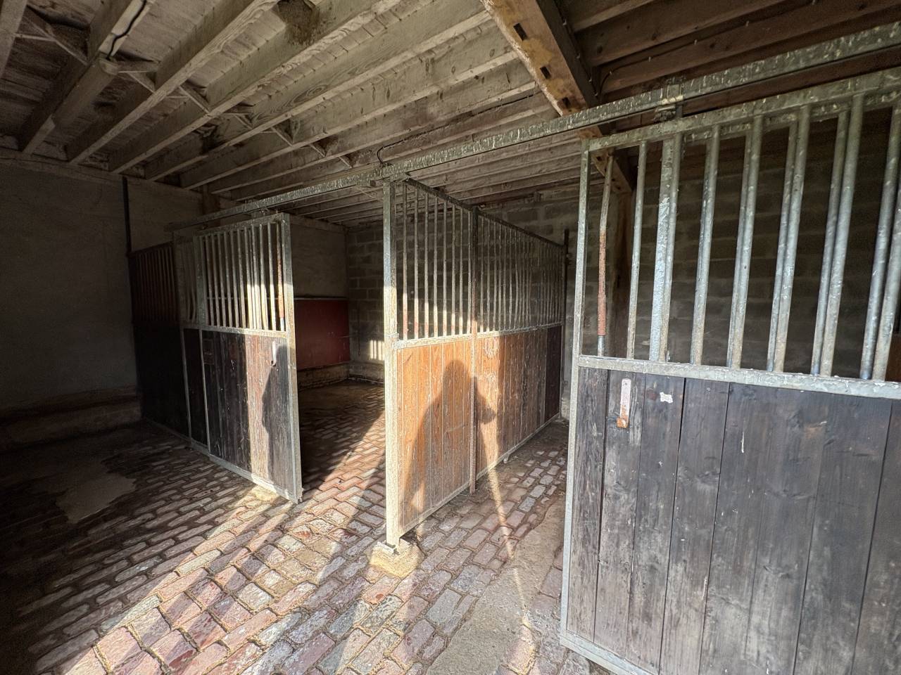 Stoeterij Koop Calvados