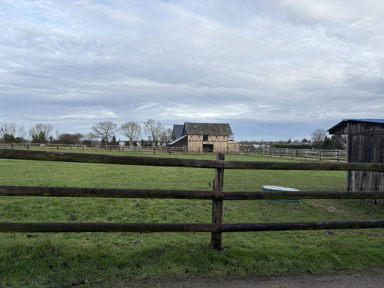 Stoeterij Koop Calvados