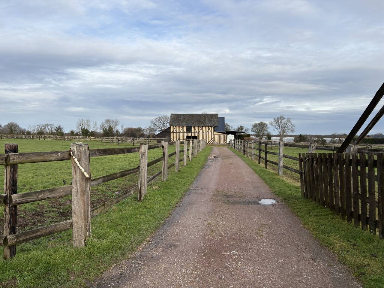 Stoeterij Koop Calvados