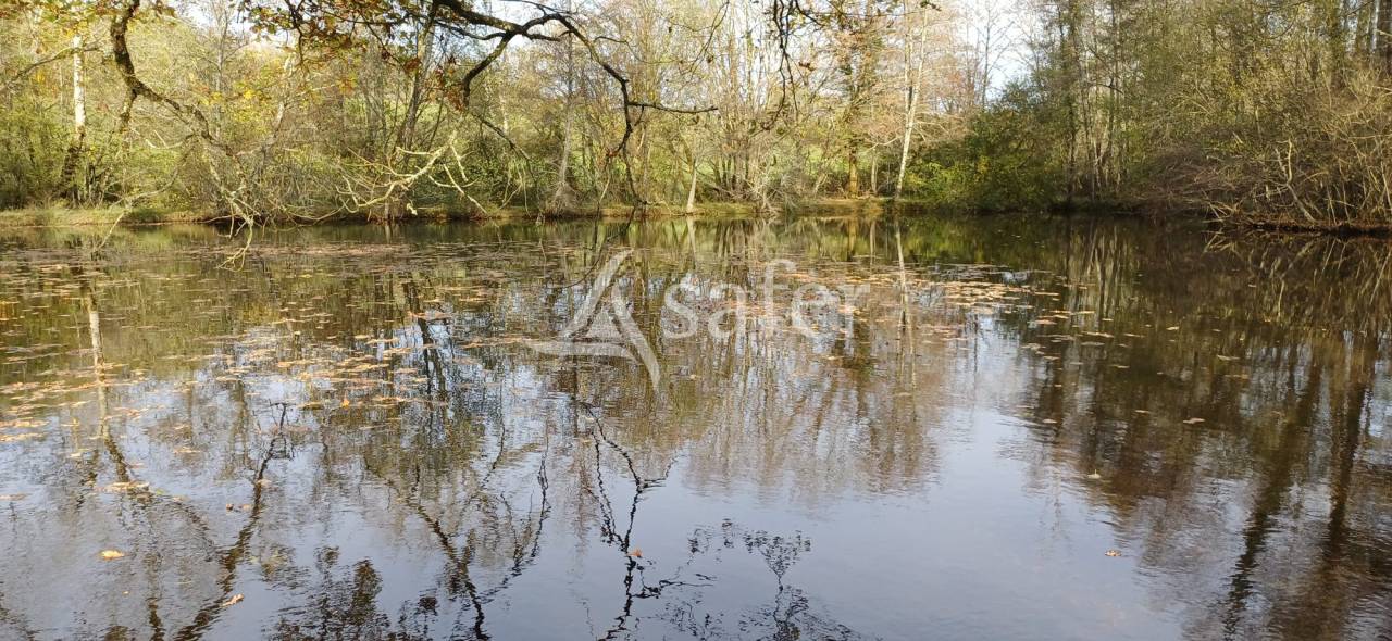 Landbouw bedrijf Koop Dordogne