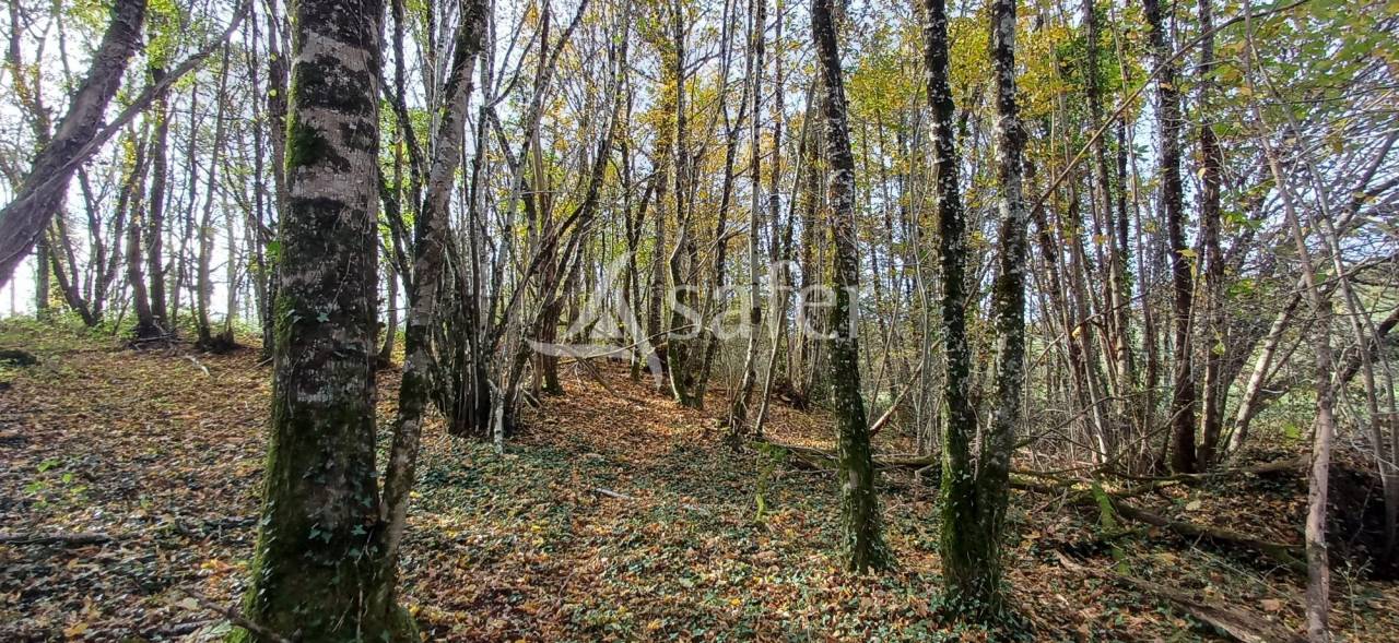 Landbouw bedrijf Koop Dordogne