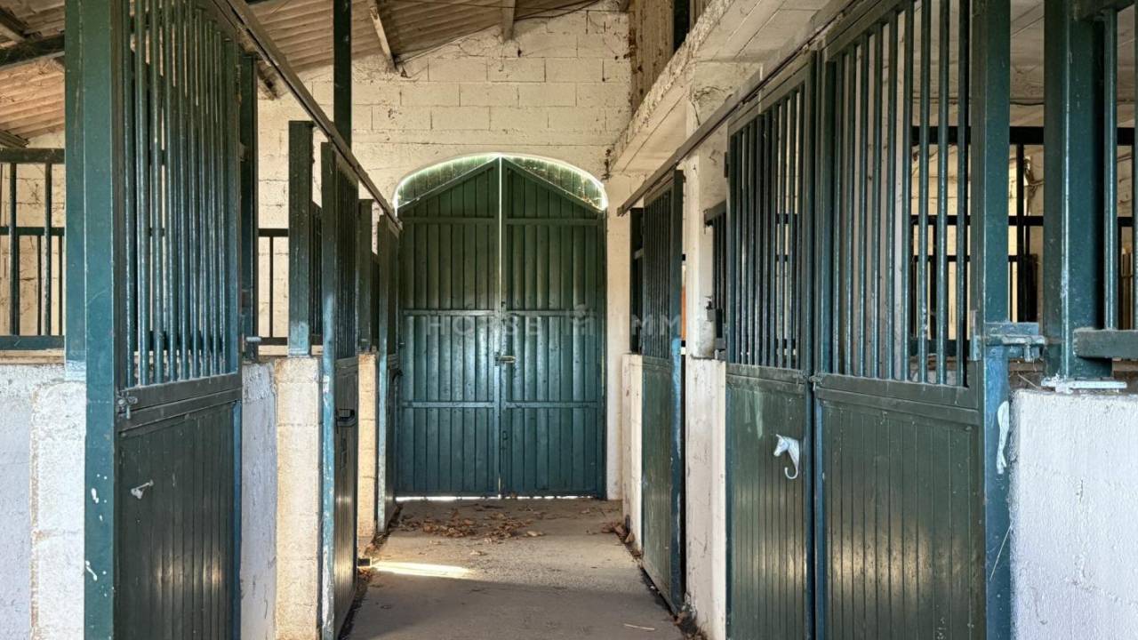 Hippisch vastgoed Koop Gard