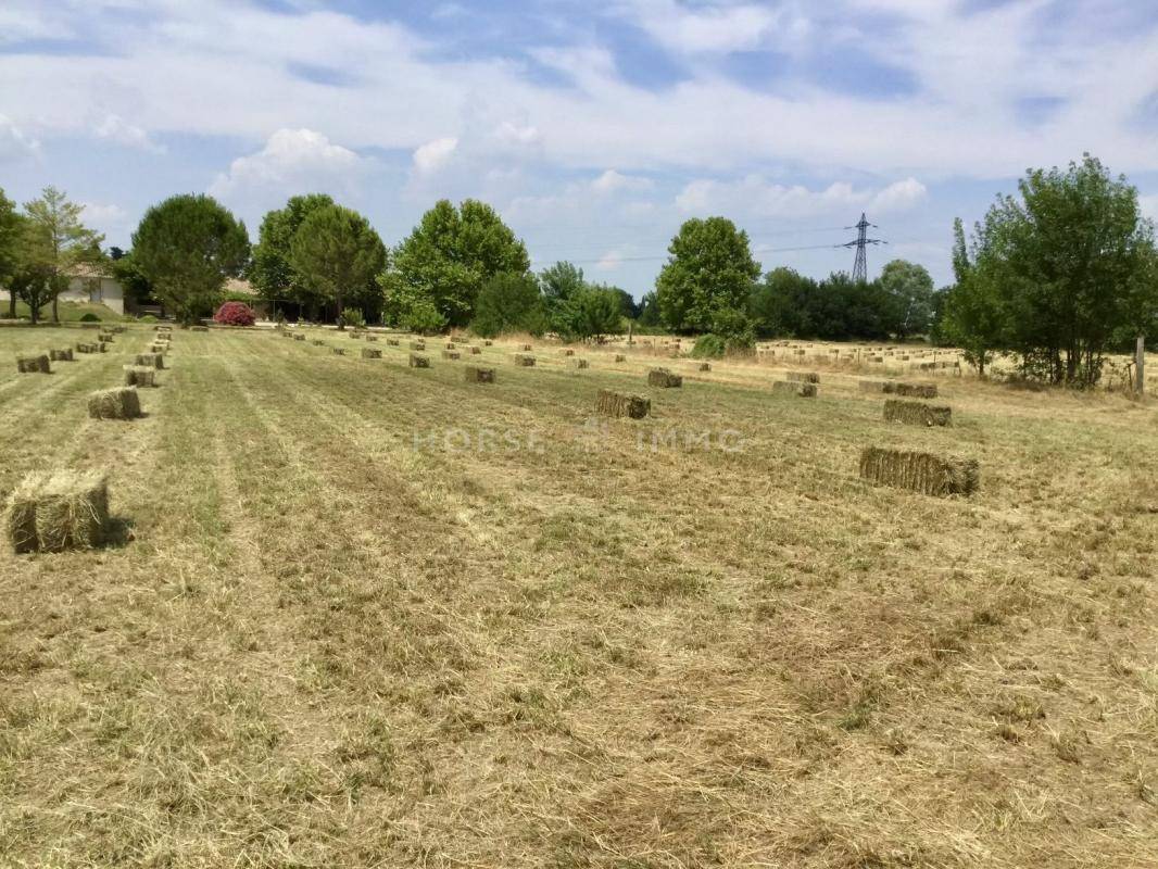 Hippisch vastgoed Koop Gard