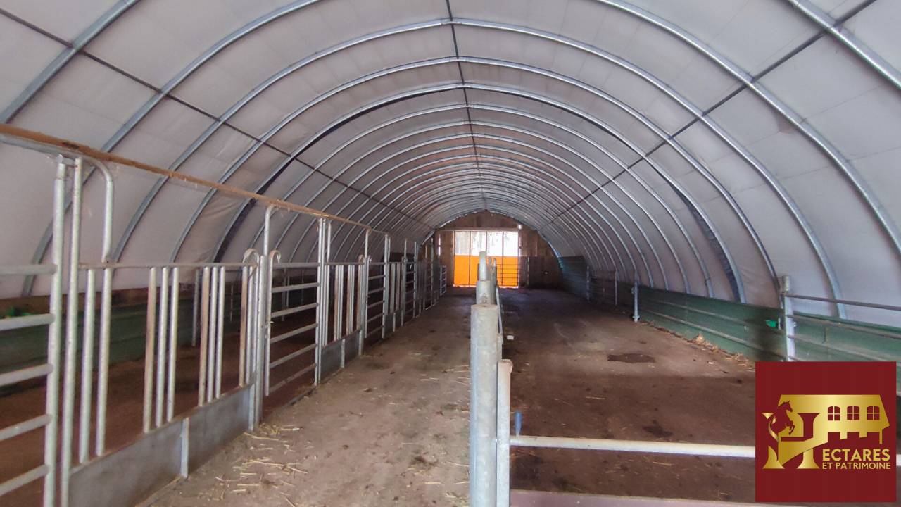 Hippisch vastgoed Koop Doubs