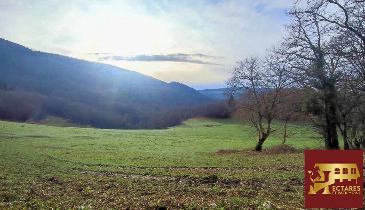 Hippisch vastgoed Koop Doubs