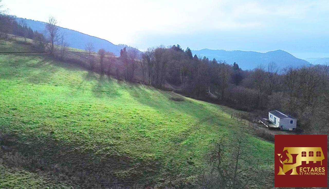 Hippisch vastgoed Koop Doubs