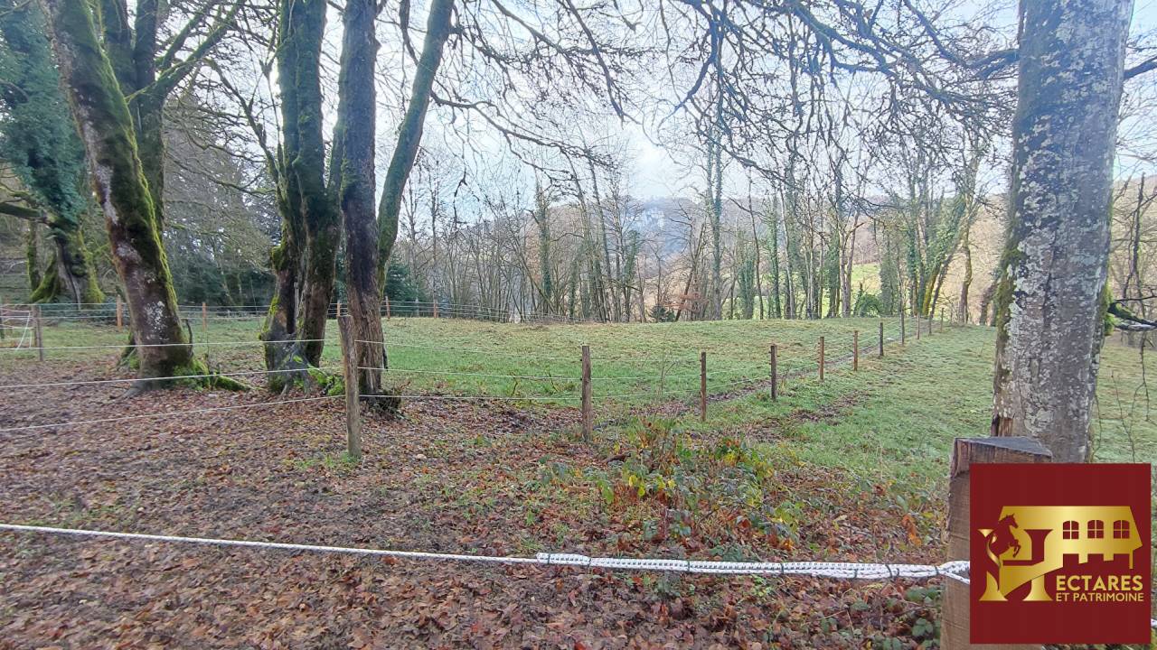 Hippisch vastgoed Koop Doubs