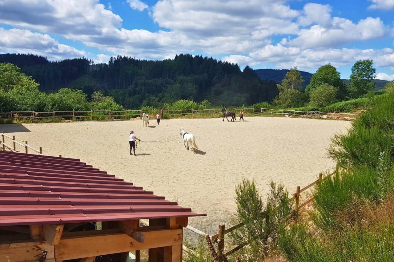 Hippisch vastgoed Koop Puy-de-D&ocirc;me