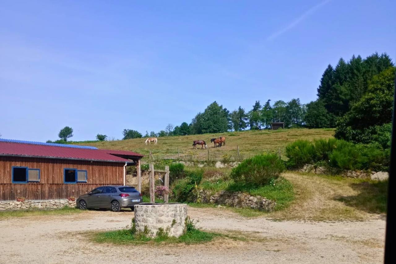 Hippisch vastgoed Koop Puy-de-D&ocirc;me