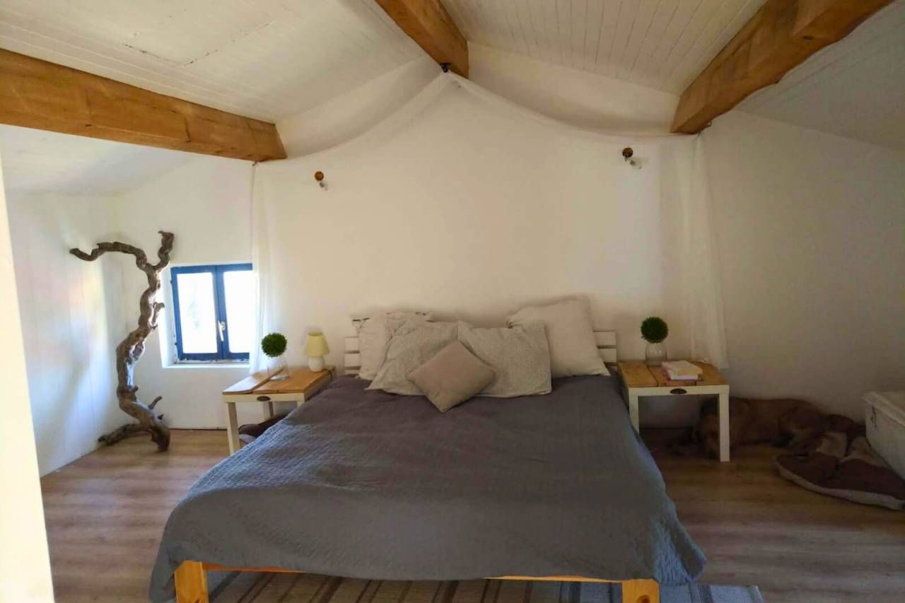 Hippisch vastgoed Koop Puy-de-D&ocirc;me