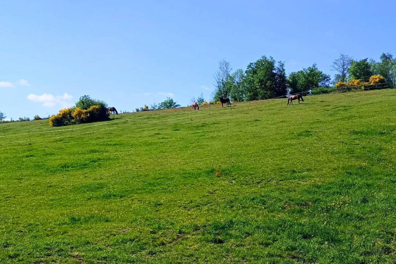 Hippisch vastgoed Koop Puy-de-D&ocirc;me