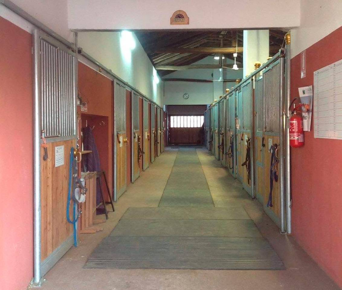 Hippisch vastgoed Koop Turin