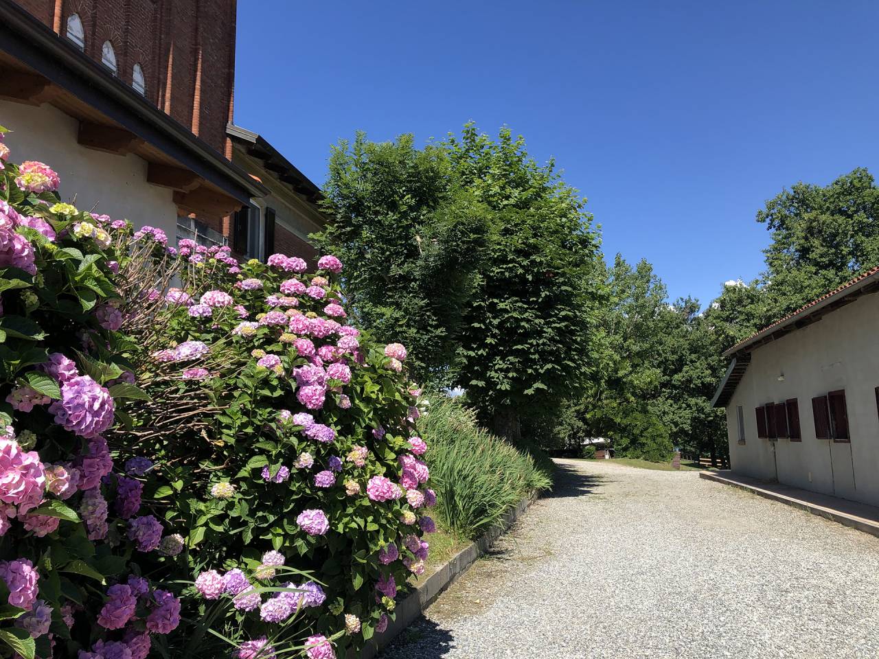 Hippisch vastgoed Koop Turin