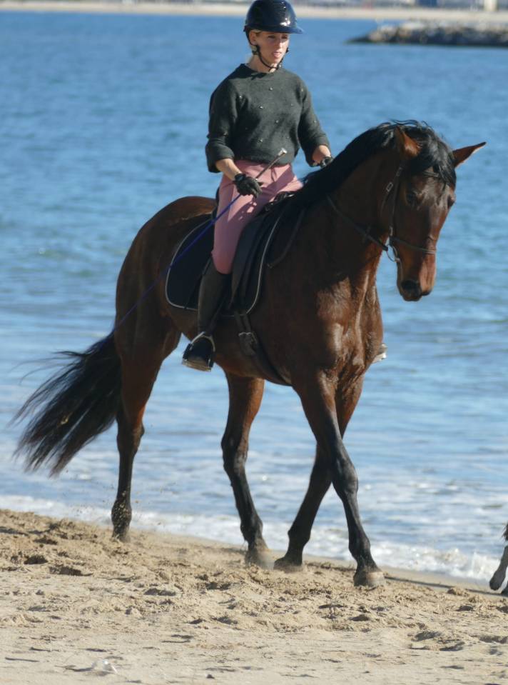 Merrie PRE Puur Ras Spaans Te koop 2021 Bruin / Bai ,  Kefren Cen