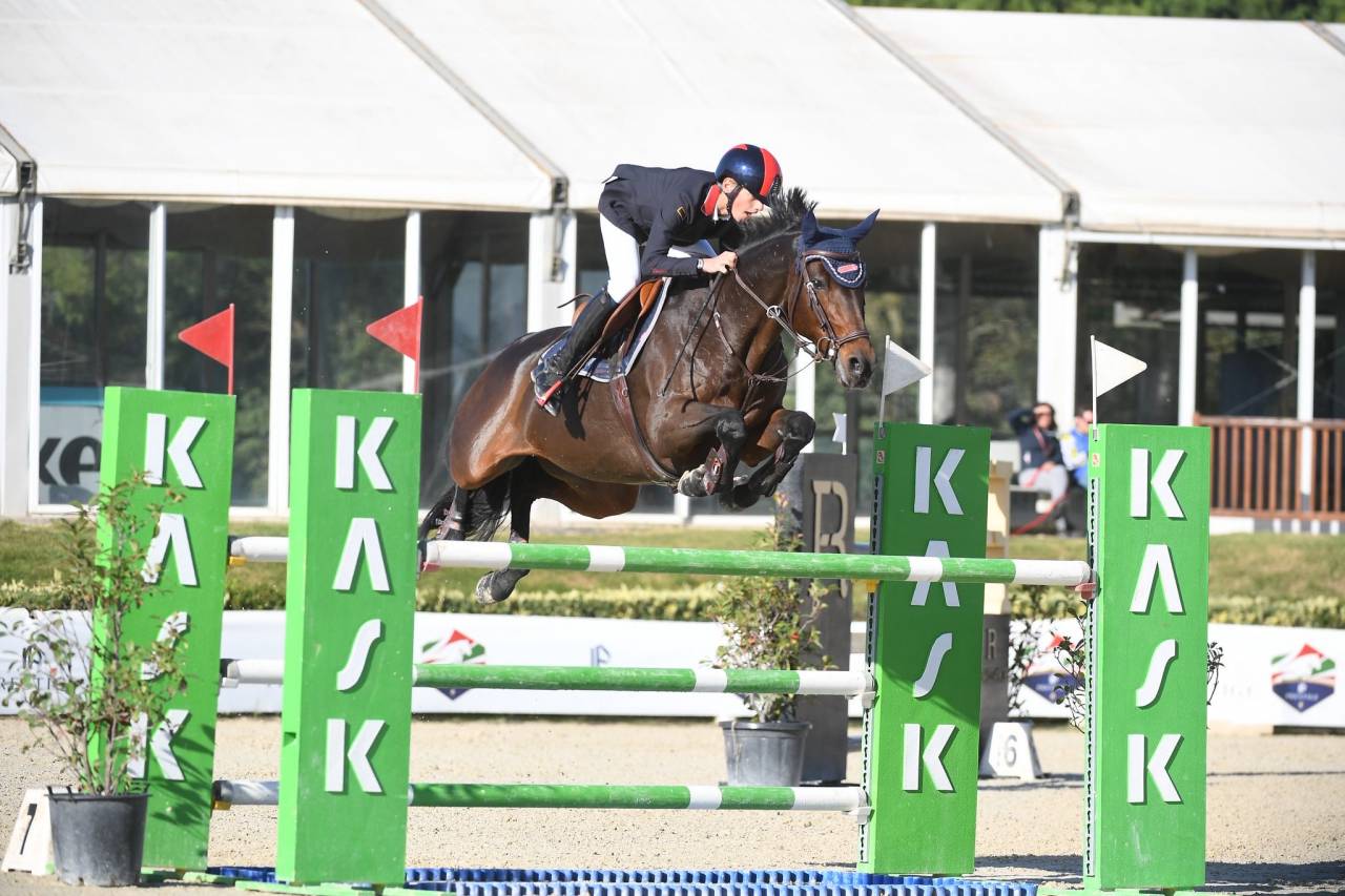 Merrie Holsteiner Te koop 2011 Donker bruin / bai