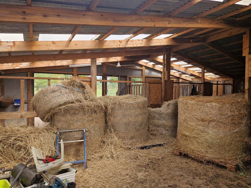 Hippisch vastgoed Koop Luxembourg belge