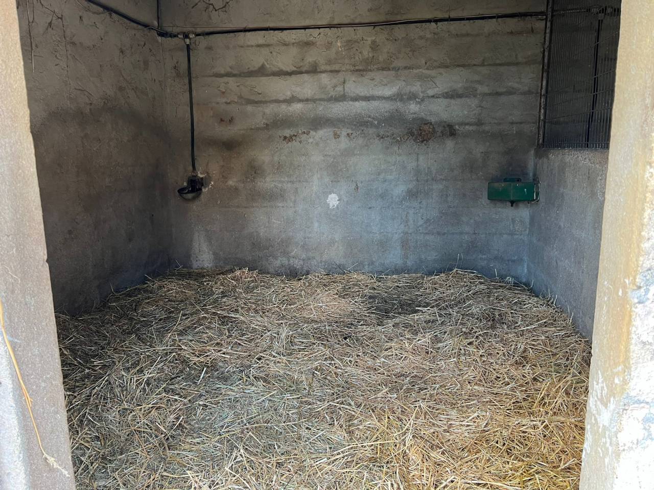 Mooi hippisch vastgoed Koop Charente