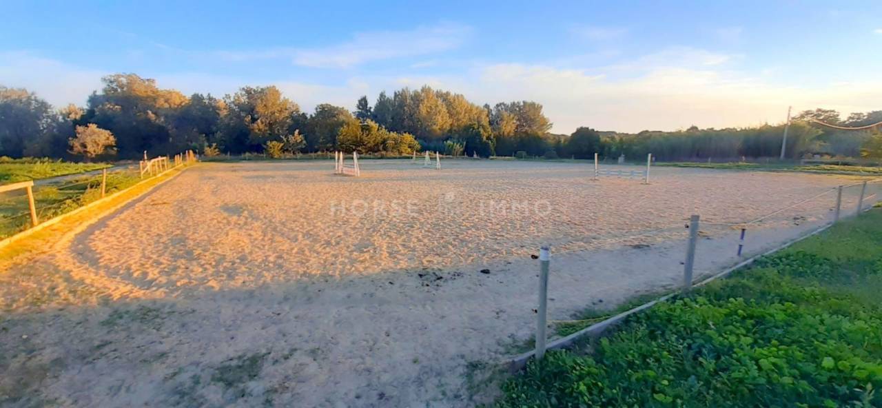 Hippisch vastgoed Koop Gard