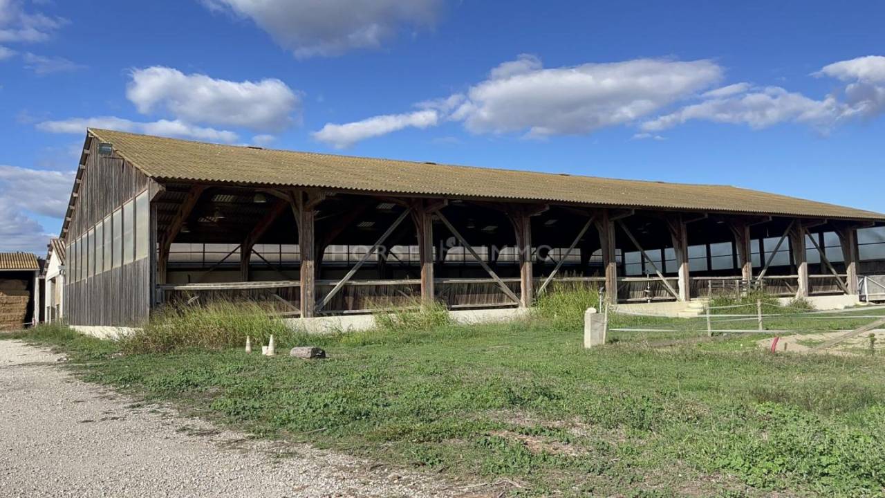 Hippisch vastgoed Koop Gard