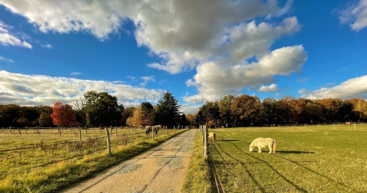 Hippisch vastgoed Koop Yvelines