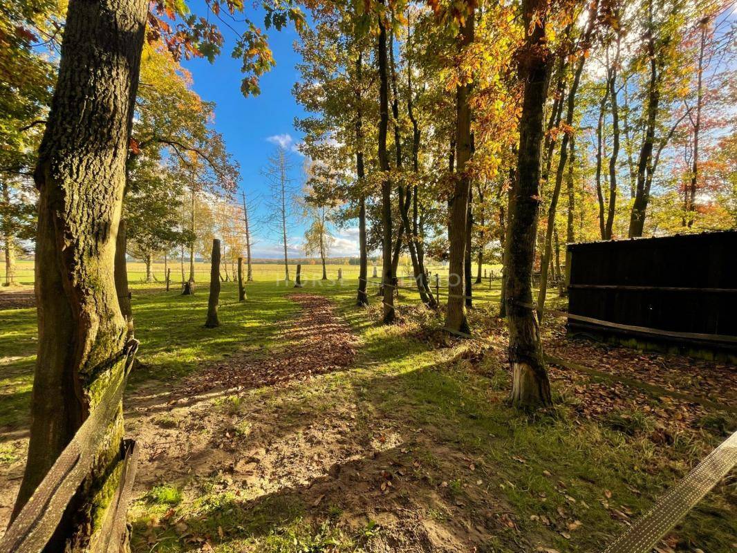 Hippisch vastgoed Koop Yvelines