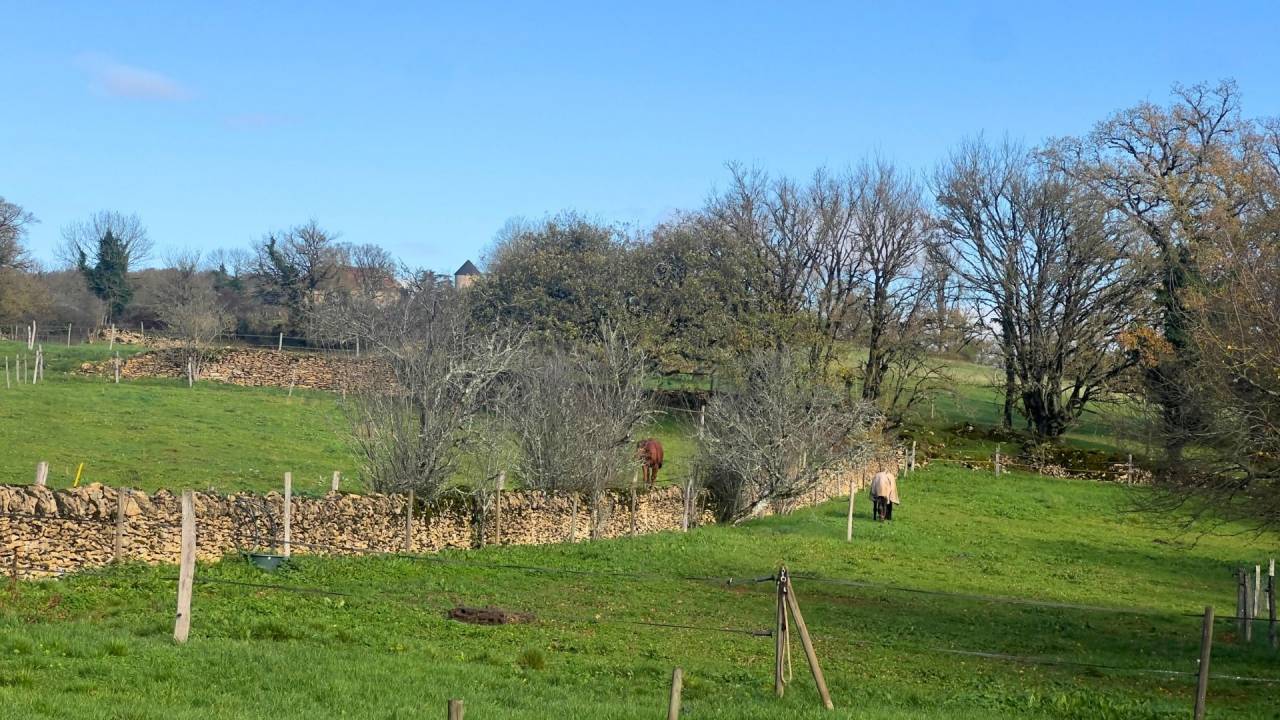 Mooi hippisch vastgoed Koop Lot