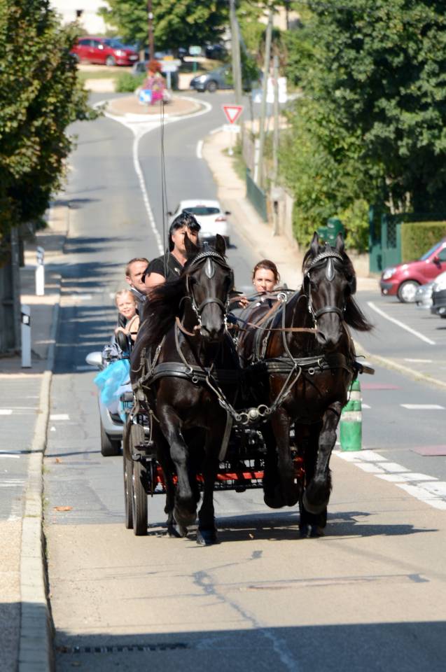 Rijtuigen - Cal&egrave;che - Ander merk -  