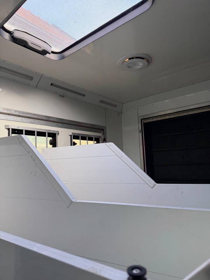 Zware paardenvrachtwagen (groot rijbewijs) Mercedes MERCEDES-BENZ 0 Tweedehands