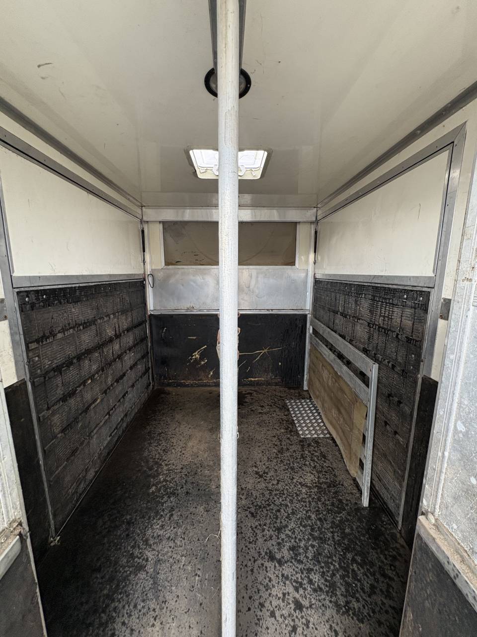 Kleine paardenvrachtwagen (B rijbewijs) Iveco Daily  2009 Tweedehands