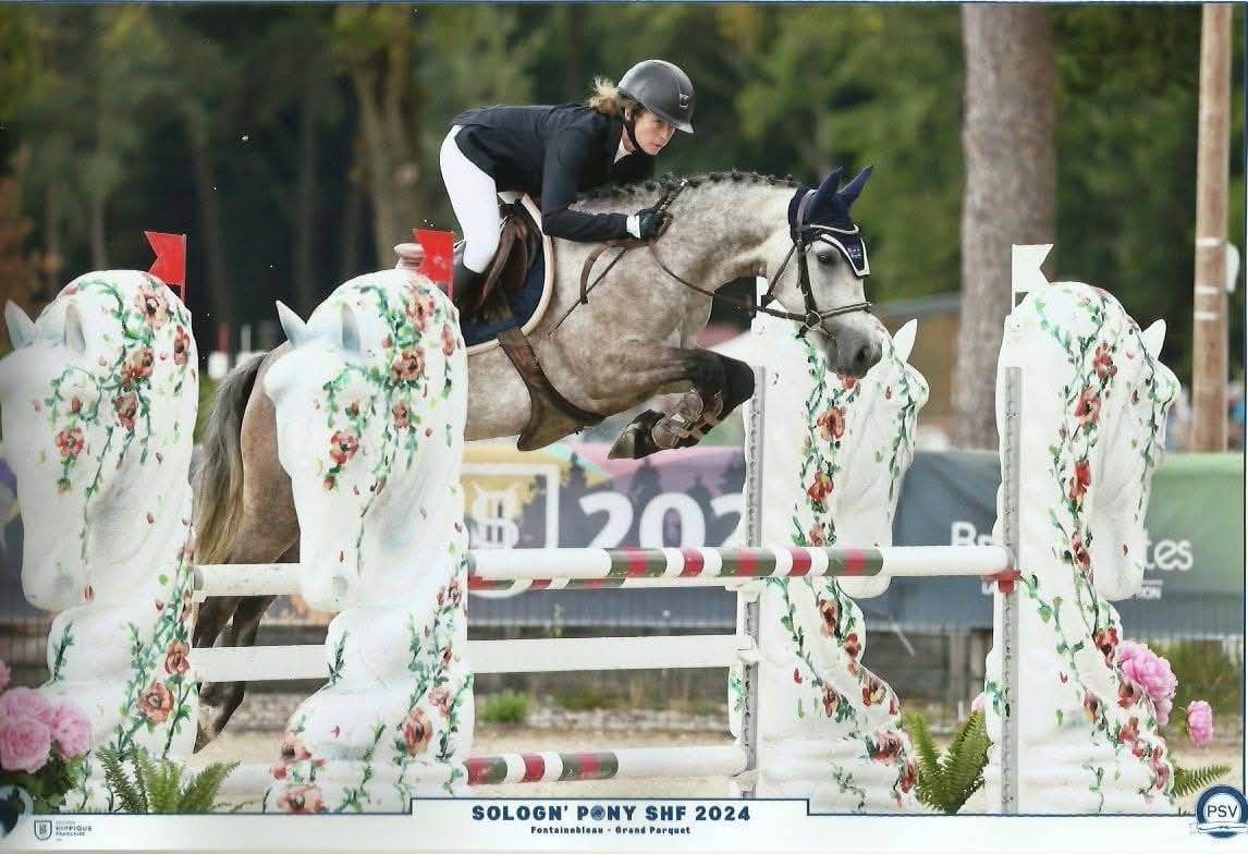 Merrie Connemara Te koop 2019 Schimmel