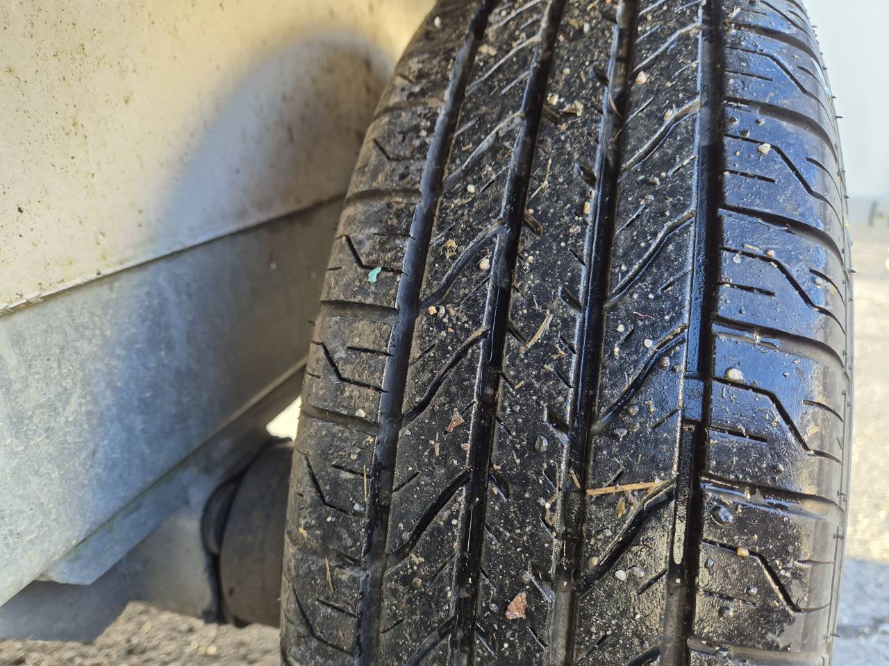 Paardentrailers Fautras JMS Cassic 1,5 Paard 2022 Tweedehands