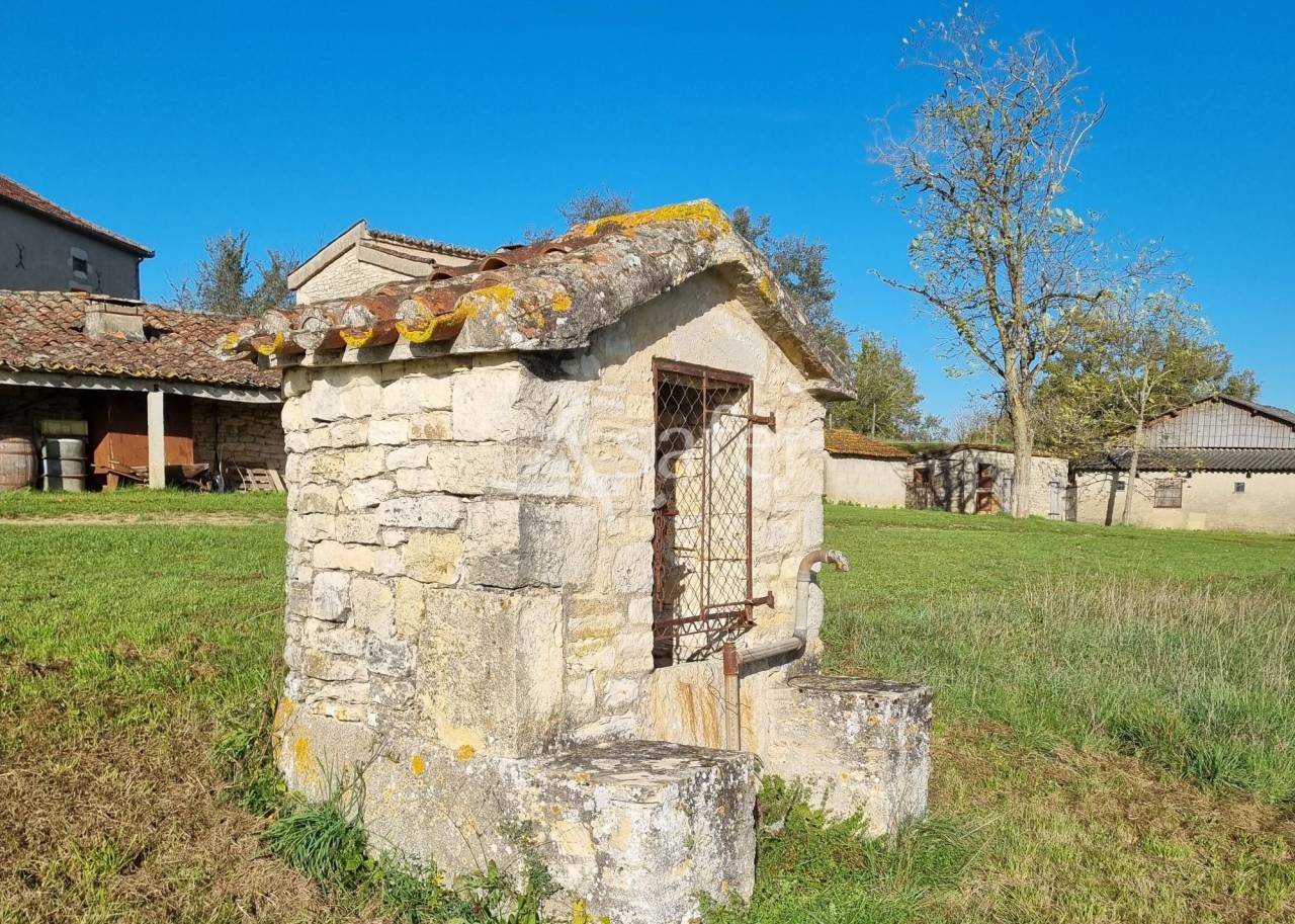 Wijn exploitatie Koop Lot