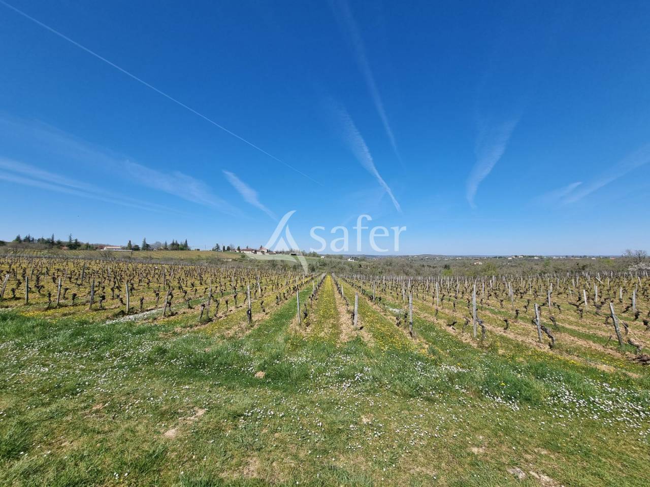 Wijn exploitatie Koop Lot