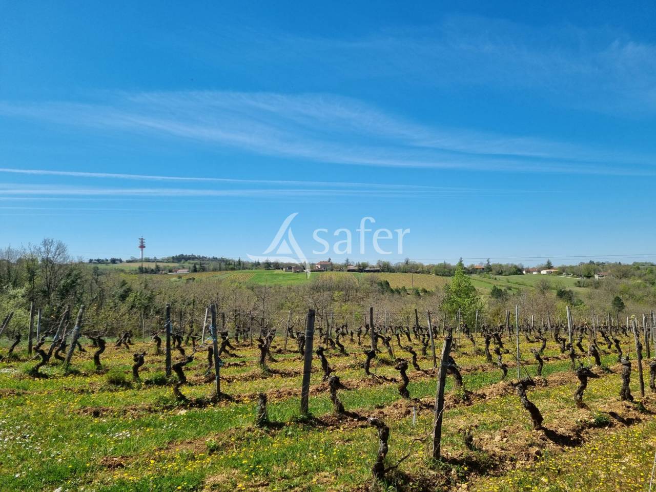 Wijn exploitatie Koop Lot