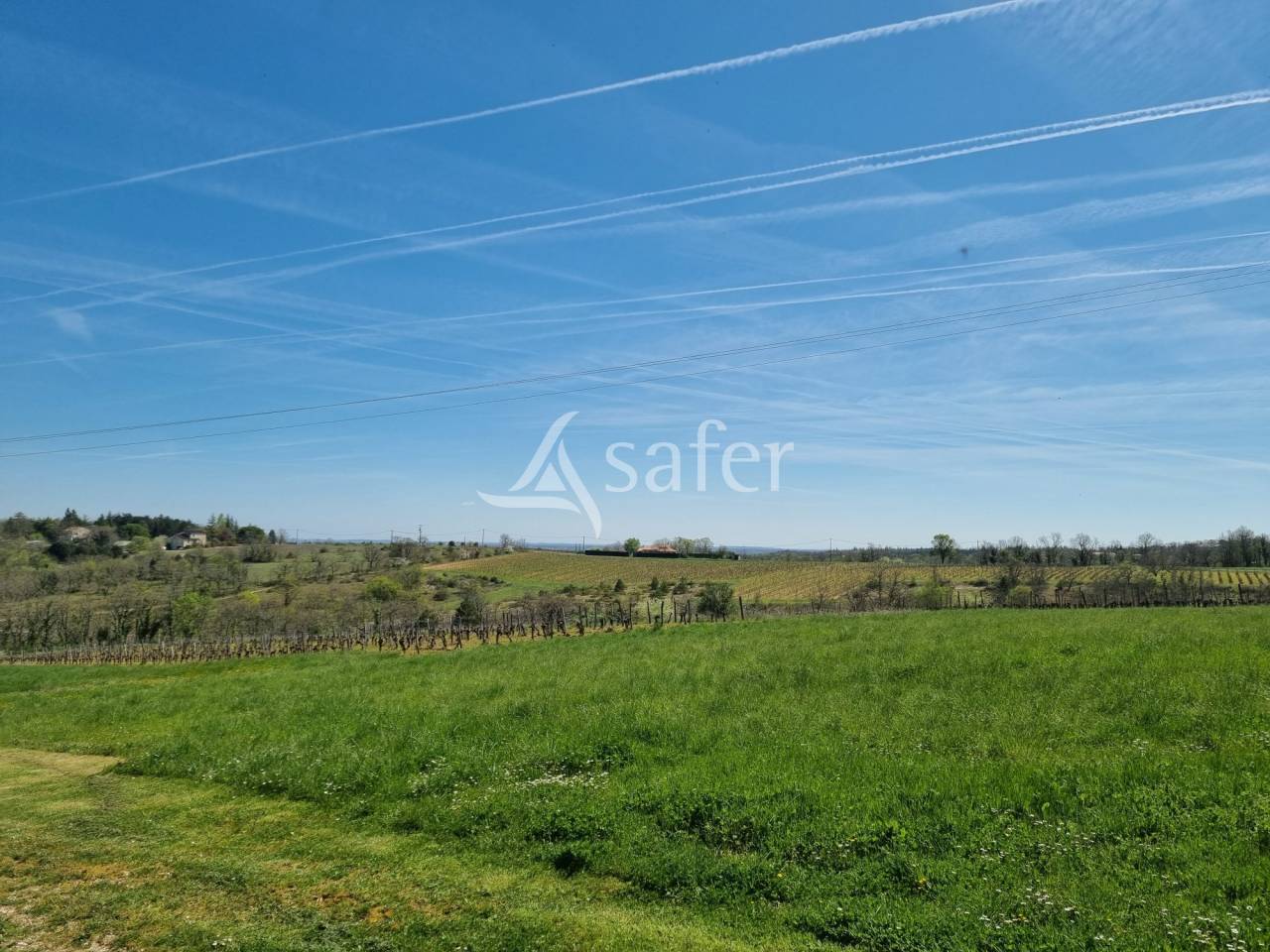 Wijn exploitatie Koop Lot